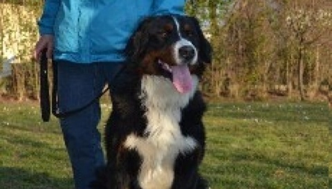 Matzenberger